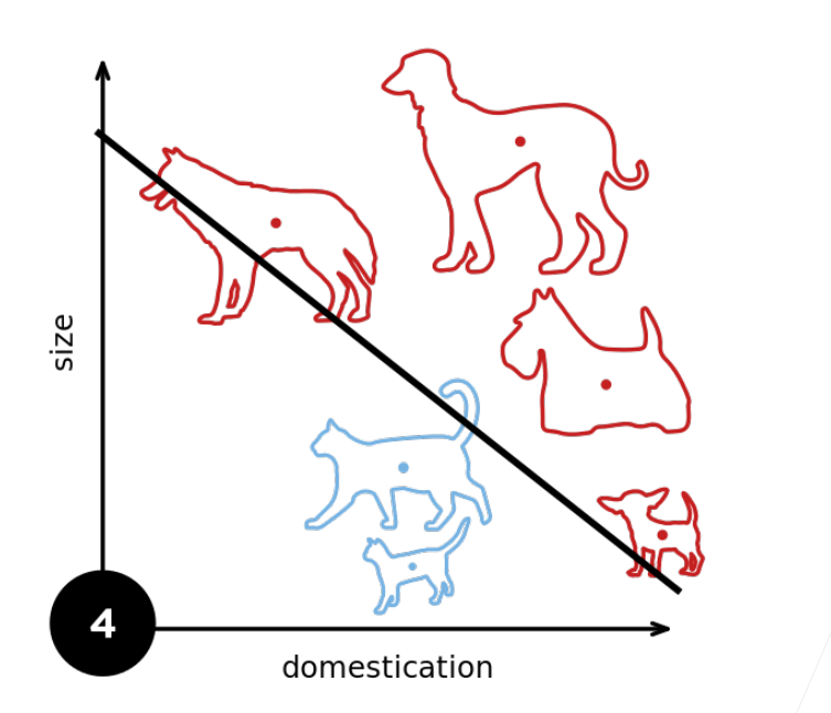 image-20260301181145701