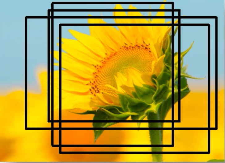 image-20260201112222498