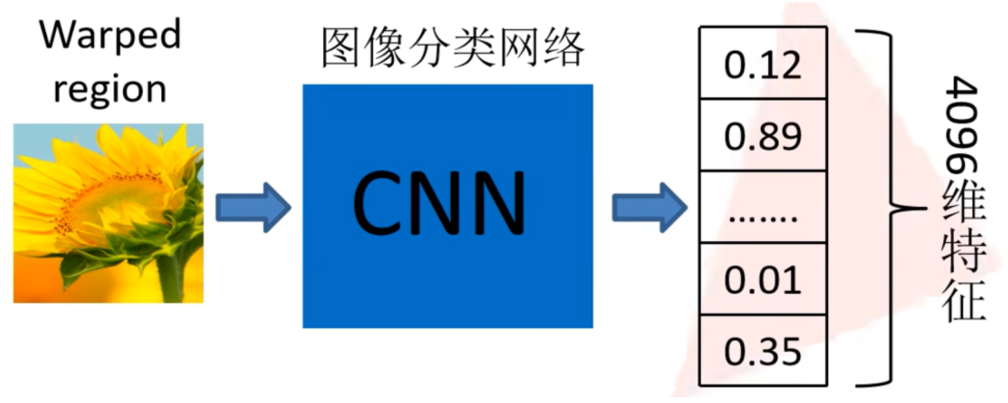 image-20260201113015005