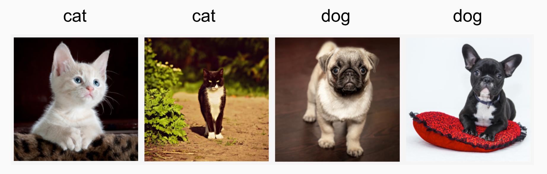 image-20260329101713082