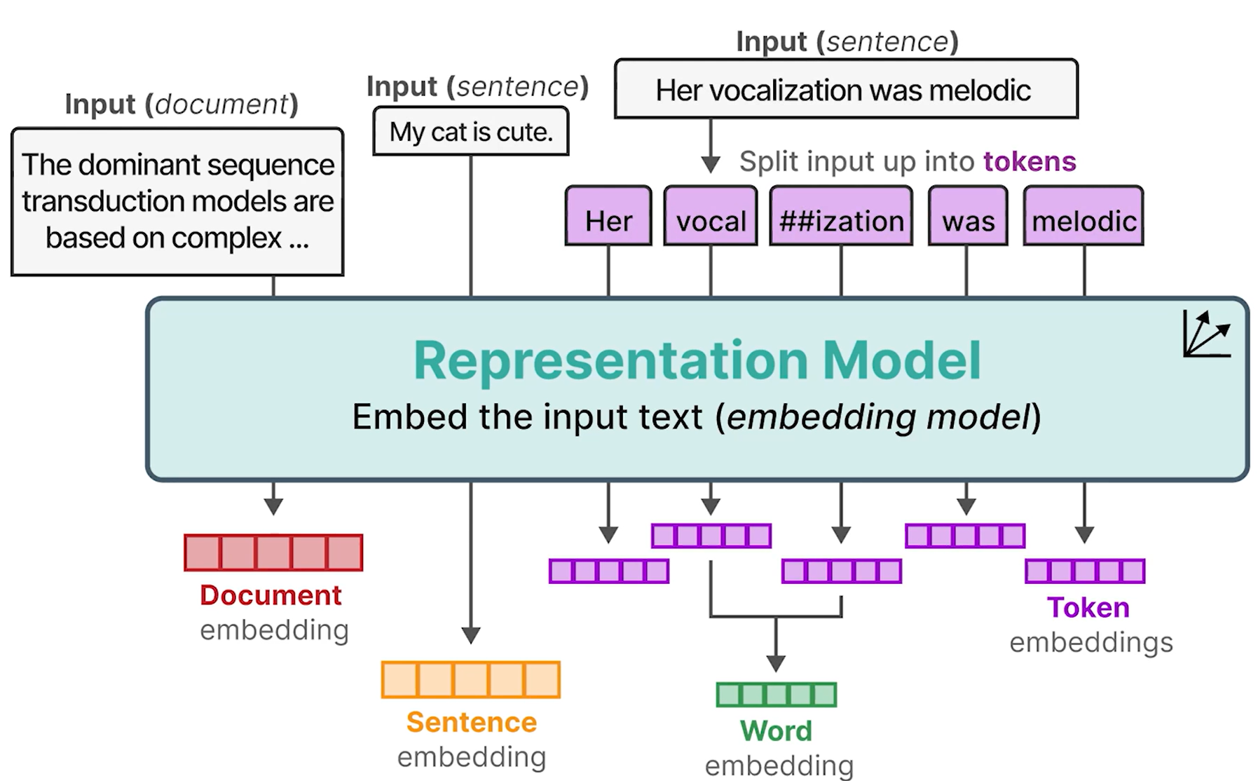 Representation Model