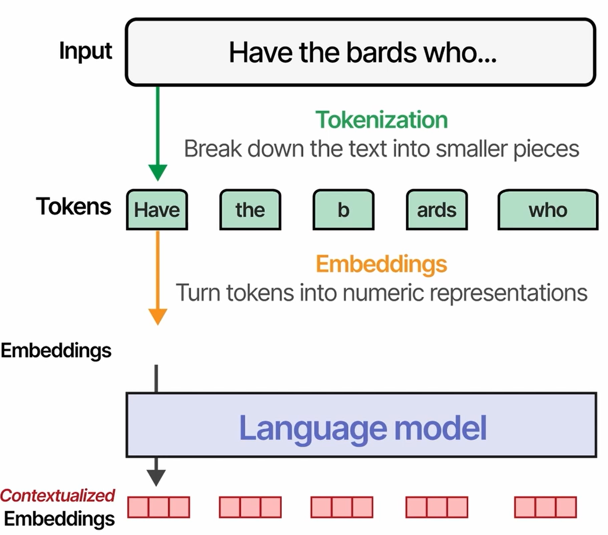 Contextualized Embeddings